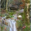 IMG_7541
